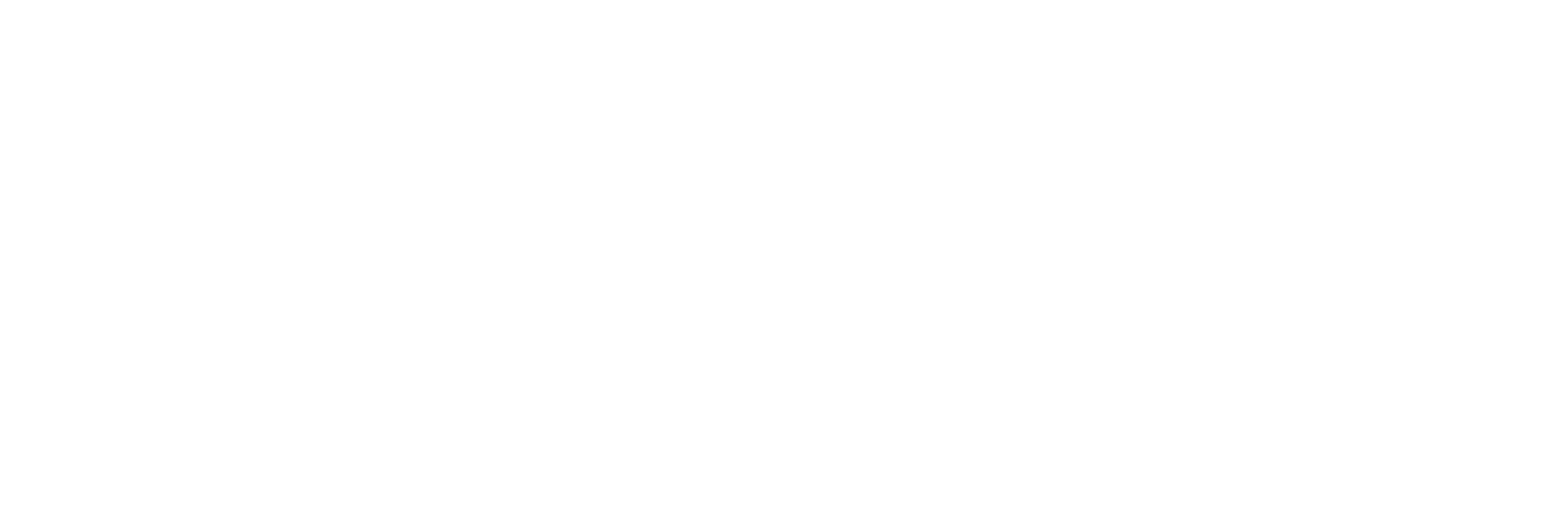 Business Aviation Social Club Logo